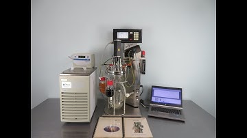 Infors Labfors 3 Bioreactor For Sale
