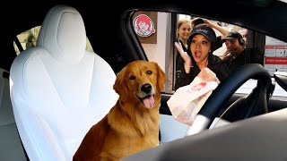 Sending DOG in Tesla Autopilot Through Drive THRU