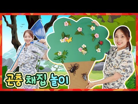 여름 방학 곤충채집 놀이~ 사슴벌레 메뚜기 무당벌레 매미 곤충나무 꾸미기! DIY 만들기 핸드메이드 색감 놀이 어린이 체험 [유라]