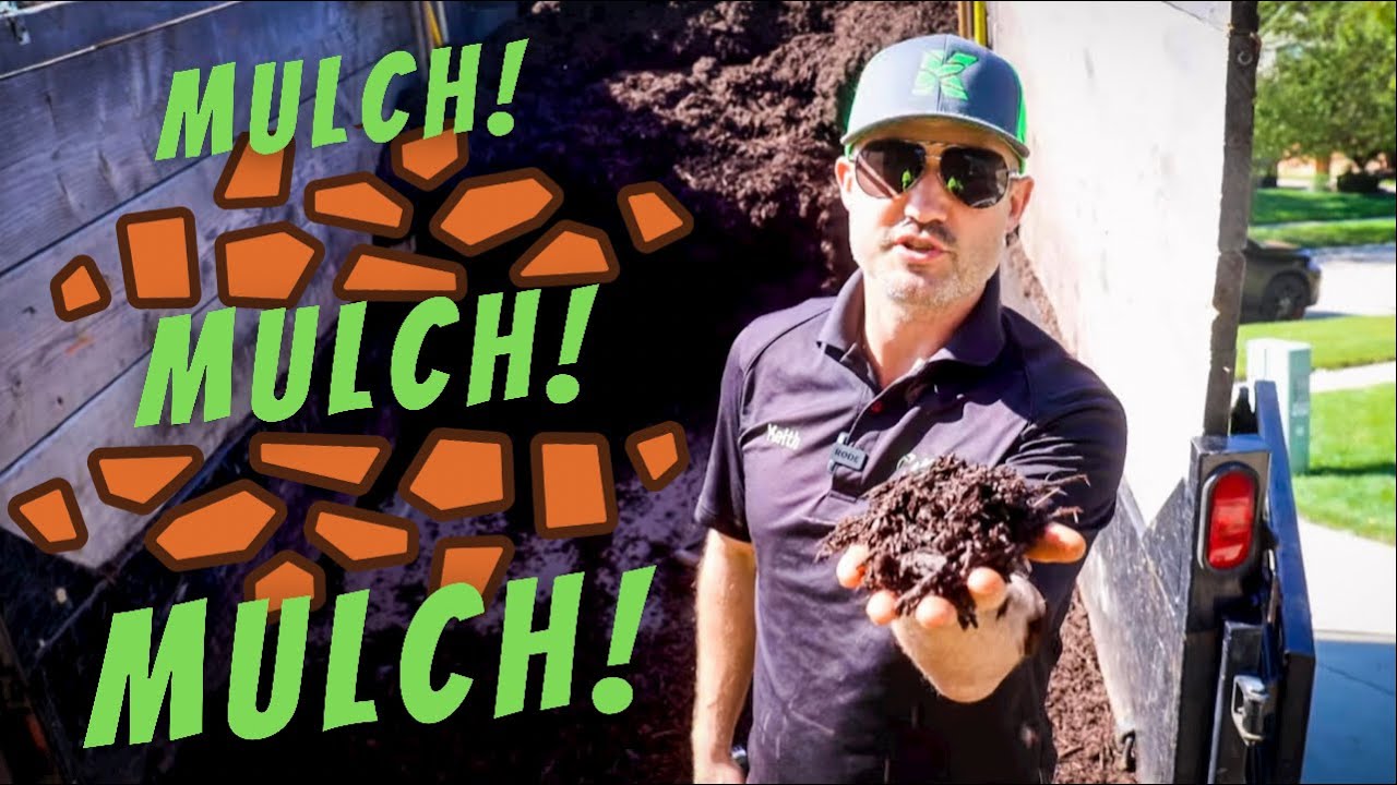 How Much To Charge For Installing Mulch, Different Types Of Hardwood