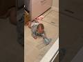 赤ちゃんの一人遊び盗撮してみた　#baby #赤ちゃんのいる生活 #赤ちゃん