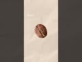 What S The Difference Arabica And Robusta Coffee