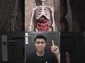 MAYAT INI DIKUBUR SECARA BERDIRI ⁉️#shortsfeed #onepiece