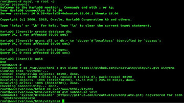 How To Deploy wityCMS on Ubuntu 16.04