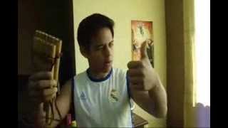 COMO TOCAR TUNA PAPITA (cover en maltas)