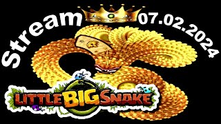 💥Stream💥🐍Little Big Snake🐞07.02.2024