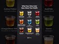 What Your Urine Says About Your Health (Shocking Truth)