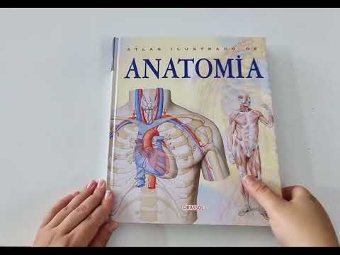 O Livro Do Corpo Humano Atualizado - Atlas Anatomia Humana