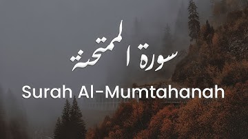 سورة الممتحنة للشيخ علي البراق | المصحف المرتل
