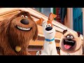 Secret Life Of Pets Coffin Dance Song COVER mp3