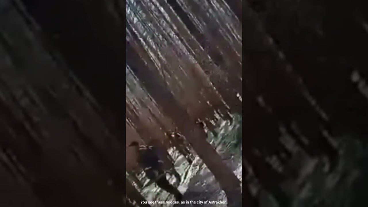 This is how Kadyrov's soldiers fight)))