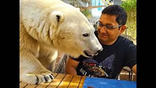 Bear Cafe..