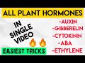 SUPER TRICK TO LEARN ALL PLANT HORMONES/ AUXIN,GIBBERELIN,CYTOKININ,ABA,ETHYLENE / NEET