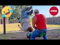 Try Not To Laugh 🤣 Top 100 Funniest Videos Ever 😂 | Funny Videos Compilation 2025 #29