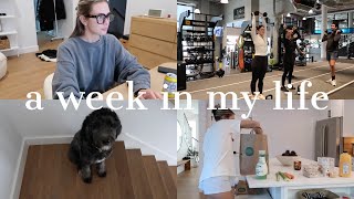 week in my life: dying my hair, workouts, spending time at home with Payton & more!