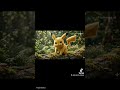 Real life pokemon evolution 4 #pokemon #fanart #pichu #pikachu #raichu