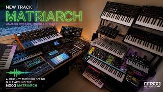 Moog Matriarche One Synth One Song Deep Techno #dawless #electronicmusic #moogmatriarch #moog