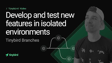 Introducing Branches: Develop against production data