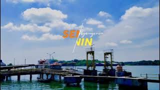 Download lagu Story WA/IG Terbaru | Video Astetick Buat Hari Senin