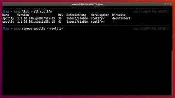 How to delete old snap packages in Ubuntu Linux