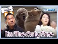 I’m The Only One 😈 [Dogs are incredible : EP.201-2] | KBS WORLD TV 240109