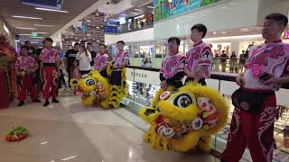 [4K] Cai Qing by World Lion Dance Champion Yi Wei at Causeway Point on 19 Aug 2023