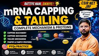 mRNA Capping and Tailing ll Capping Machinery and Mechanism ll PABPN1, PABPC1 ll Explain in DEPTH