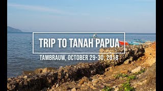Download Lagu Trip to Tanah Papua : Tambrauw MP3