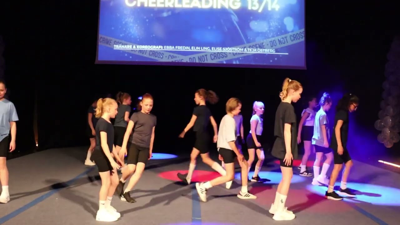 Cheerleading 13/14 - Vad gör jag nu?