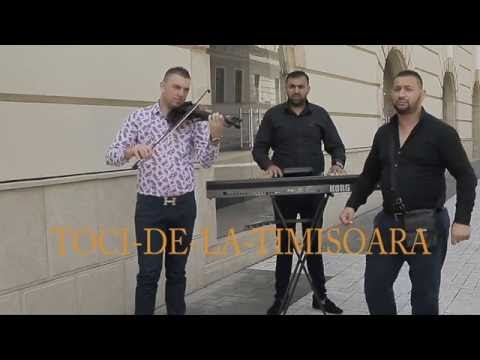 TOCI DE LA TIMISOARA 2016