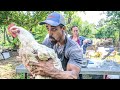 The BIGGEST Chicken We've EVER done