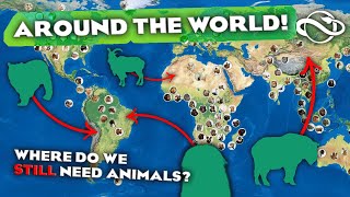🗺️ Taking a Look at the Planet Zoo Map... What's Missing?