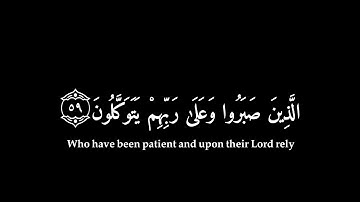 [ الذين صبروا وعلى ربهم يتوكلون ] كرومات قران شاشه سوداء 🖤 🎧 - القارئ عبد الرحمن المسعد🖤🎙️سوره النحل