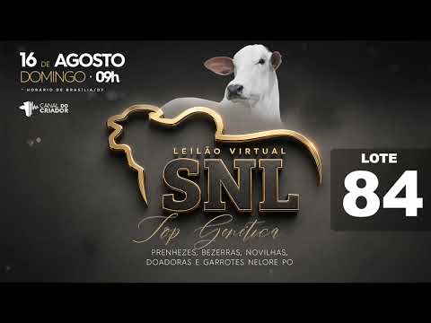 LOTE 84   ADJ A1261