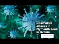 NoroVirus attacks in American Scholl