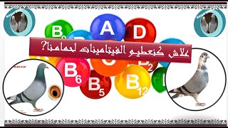 معلومات مهمة عن دور الفيتامينات