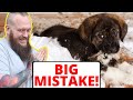The BIGGEST Mistake People Make With Their Puppy