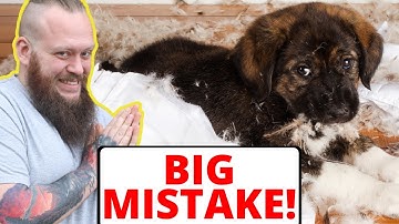 The BIGGEST Mistake People Make With Their Puppy