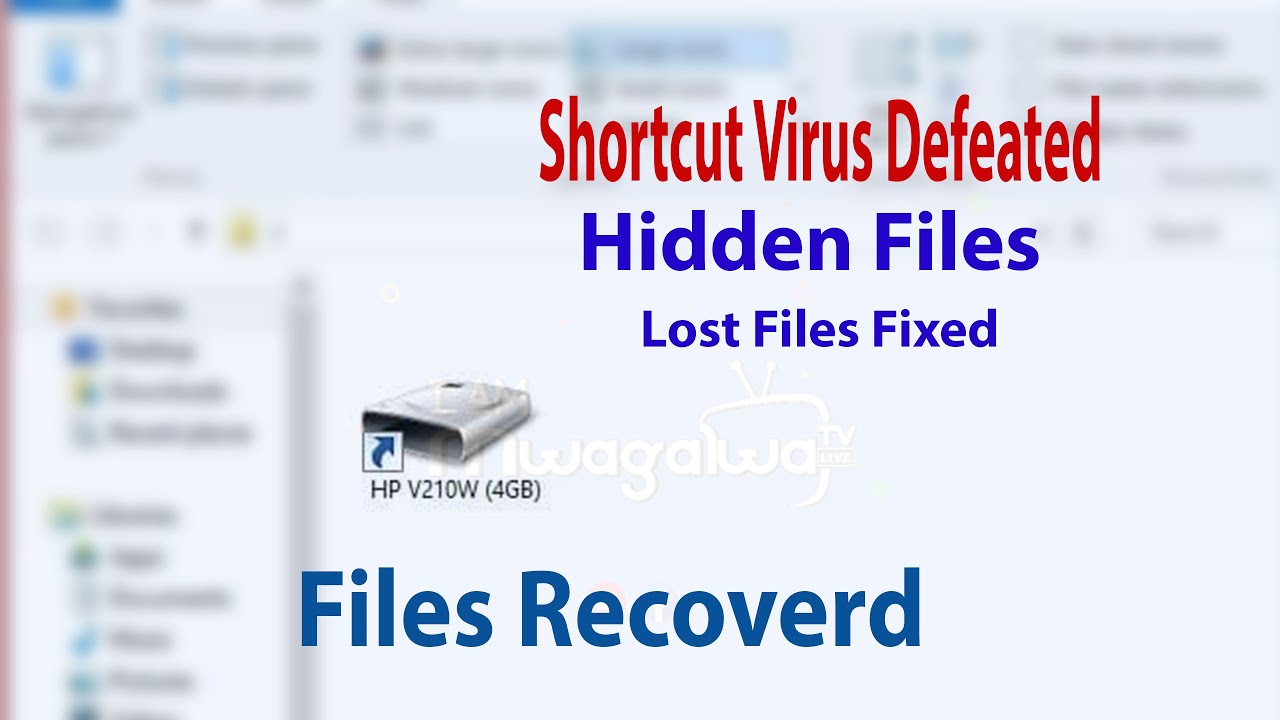 Remove Shortcut Virus Unhide Files Hidden by Virus Files Hidden on