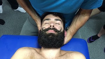 Testing Ligament Alare Insufficiency; Pieter Westerhuis; IMTA