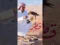تميم المجد اغنية قطر انت الحياة انت الوجود تصاميم قطرية مسك قطر 