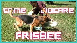 INSEGNARE al cane i COMANDI base del DISC DOG