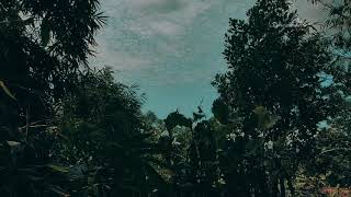 Download Lagu SIKEP NDARBOY GENK TERBARU | SIKEP - ANAK LANANG - LANANG TENAN || FULL ALBUM 2025 MP3