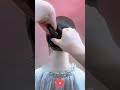French Full-Wrap Updo 🪄🇫🇷 Effortless & Voluminous 🛡️, Easy for Beginners ✅ Daily Dates 👍