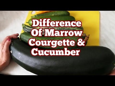 The Dietary Values of Zucchinis Cucumbers