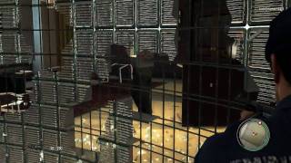 Mafia 2 - Exclusive PhysX Video