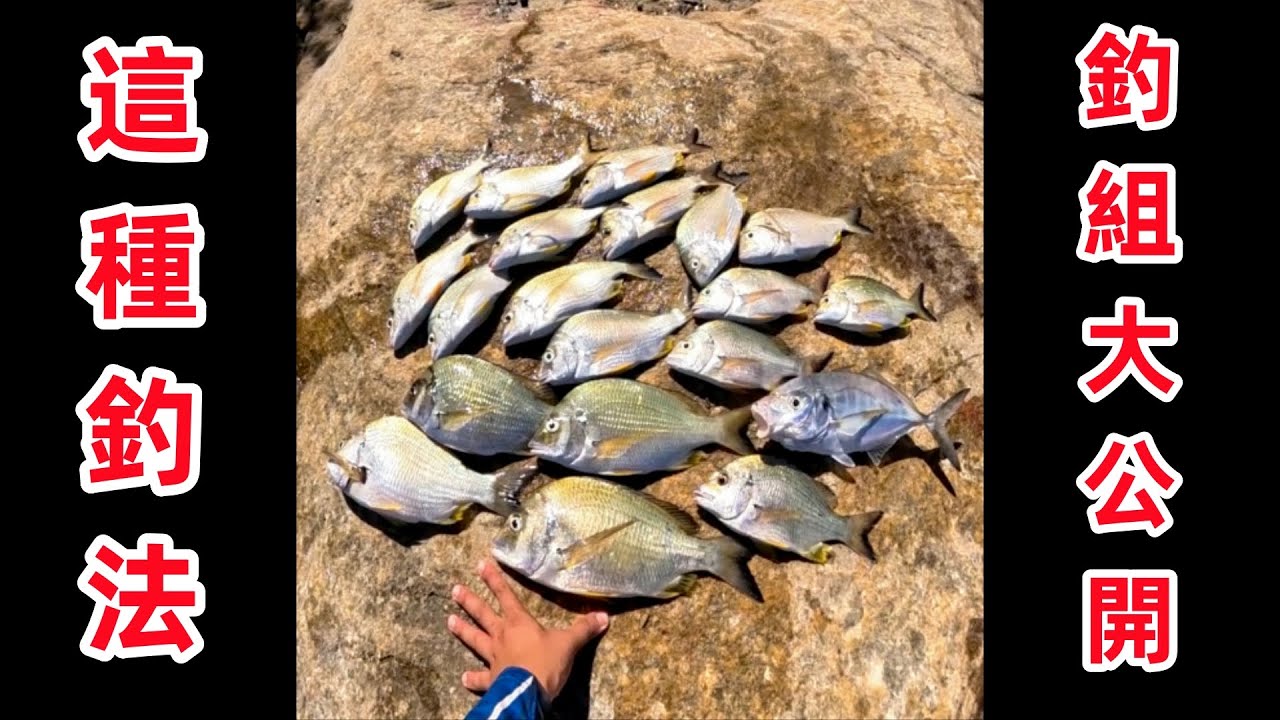 這種釣法的釣組今天大公開 全遊動 #磯釣 #全遊動 #釣魚 縮圖