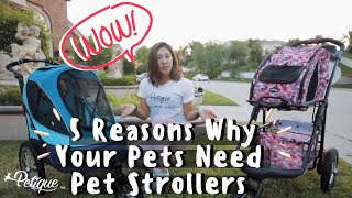 5 Reasons Why Your Pets Need Pet Strollers