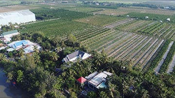 Cầu Cháy - xã Mỹ Hội - Cái Bè - Tiền Giang; Mavic mini video test footage  #mavicmini