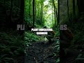 Finding Water in the Wild: Essential Techniques
